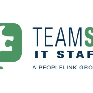 teamsoft IT staffing logo image