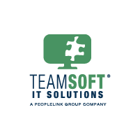Teamsoft IT solutions icon with transparent background
